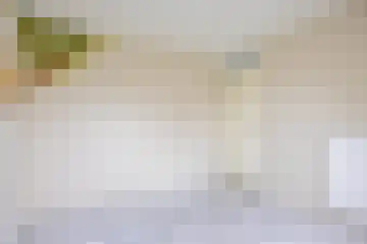 Weteringdreef 8 Zoetermeer thumbnail 19
