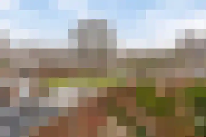 Weteringdreef 8 Zoetermeer thumbnail 29