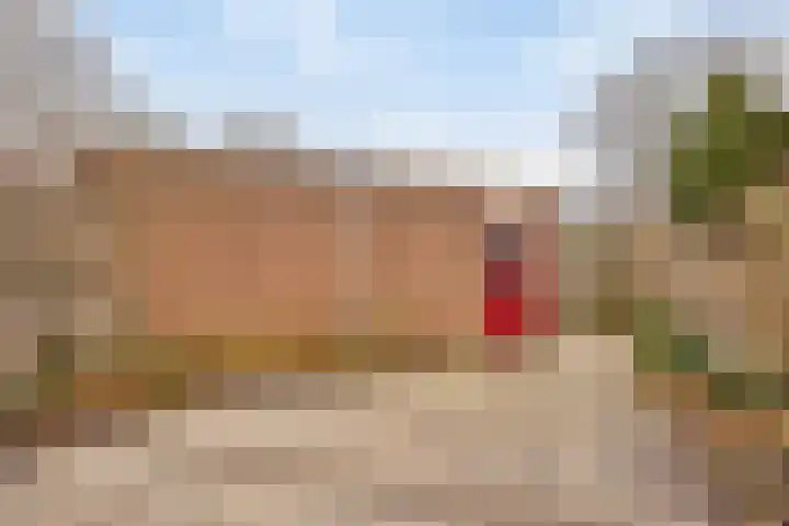 Weteringdreef 8 Zoetermeer thumbnail 30