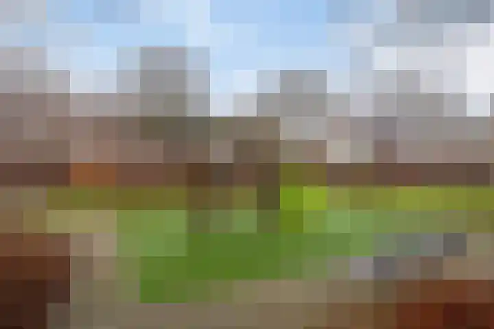 Weteringdreef 8 Zoetermeer thumbnail 36