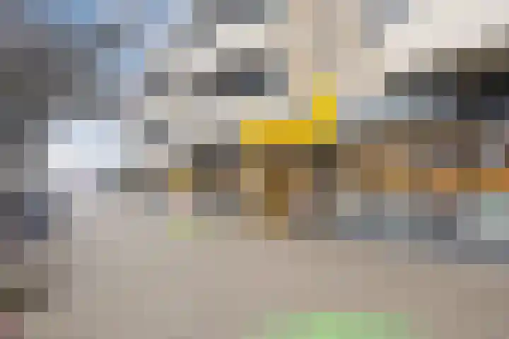 Weteringdreef 8 Zoetermeer thumbnail 39