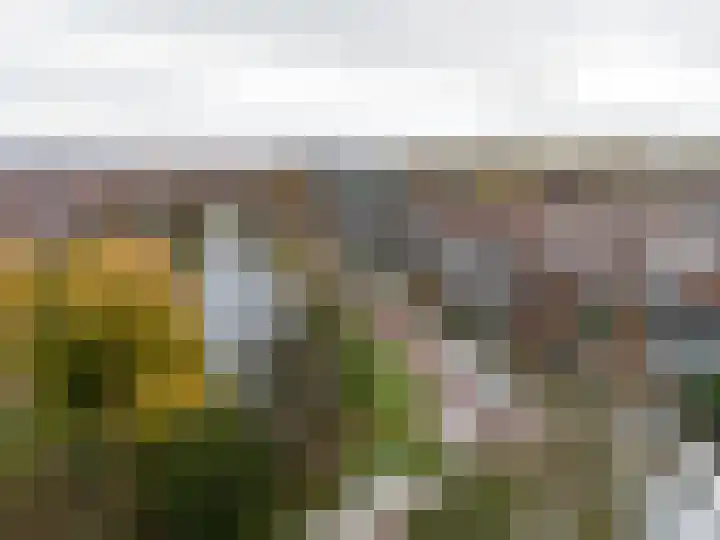 Weteringlaan 17 Delft thumbnail 43