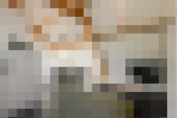 Weteringschans 193 E Amsterdam thumbnail 15