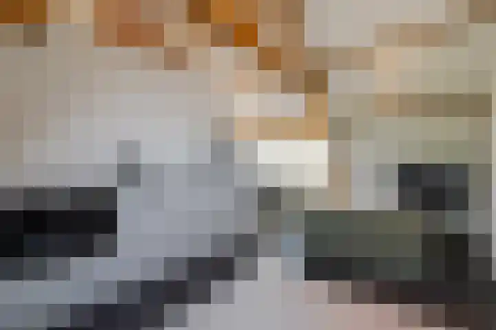 Weteringschans 193 E Amsterdam thumbnail 21