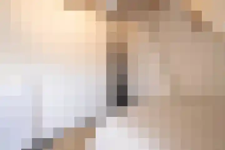 Weteringschans 193 E Amsterdam thumbnail 29