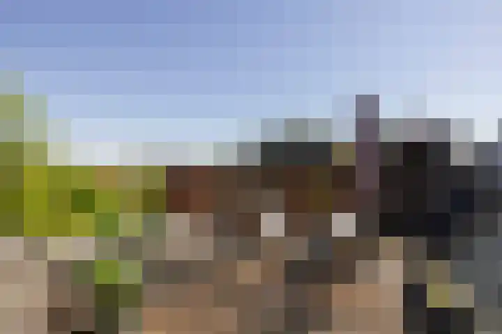 Weteringschans 193 E Amsterdam thumbnail 35