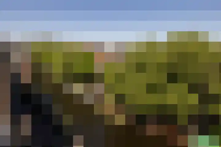 Weteringschans 193 E Amsterdam thumbnail 38