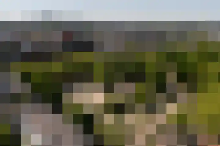 Weteringschans 193 E Amsterdam thumbnail 43