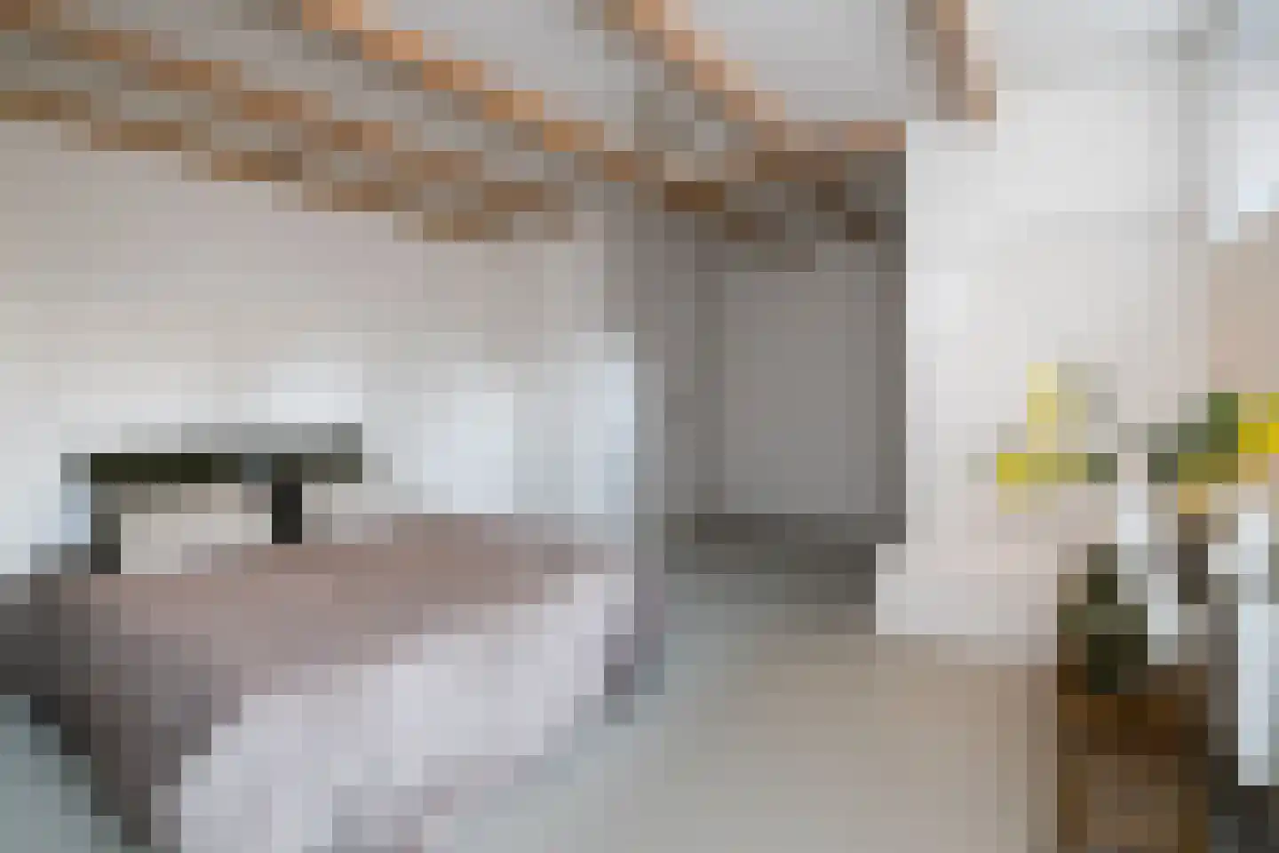 Weteringschans 43 A Amsterdam thumbnail 23