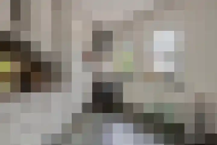 Weteringshoek 7 Rossum thumbnail 13