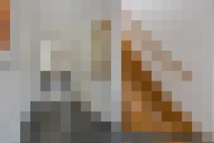 Weteringshoek 7 Rossum thumbnail 20