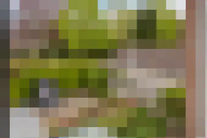 Weteringshoek 7 Rossum thumbnail 38