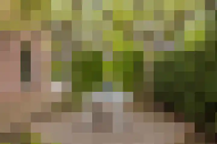 Weteringshoek 7 Rossum thumbnail 40