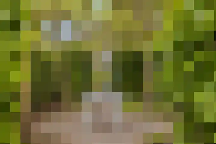 Weteringshoek 7 Rossum thumbnail 41