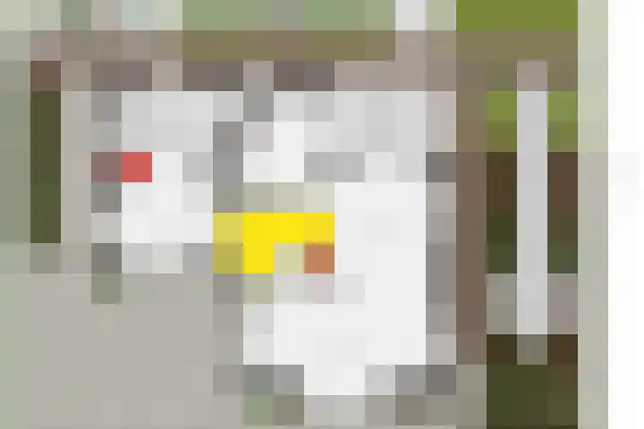 Weteringshoek 7 Rossum thumbnail 48