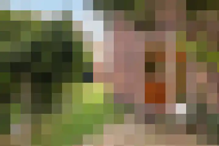 Weteringstraat 54 Baarn thumbnail 5