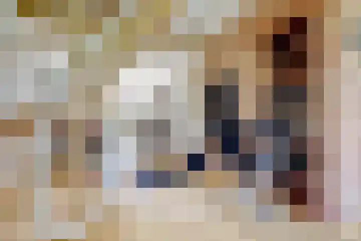 Wethouder Bruensstraat 7 Deest thumbnail 6