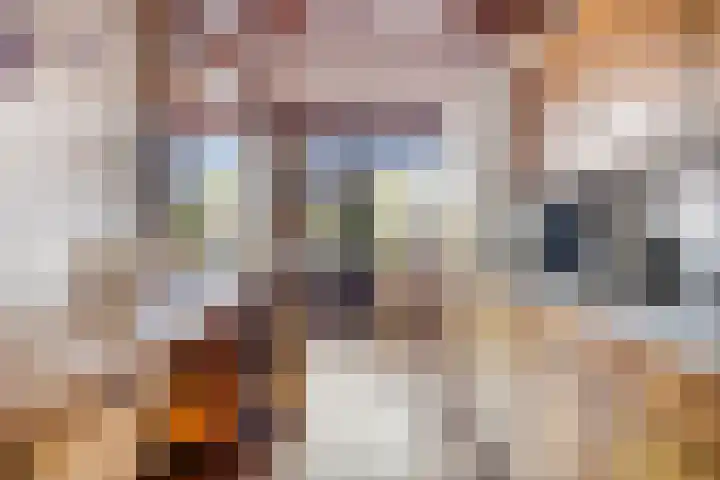 Wethouder Jonkersstraat 56 Halsteren thumbnail 4
