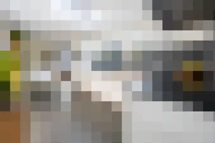 Wethouder Kuipersstraat 7 Afferden thumbnail 18