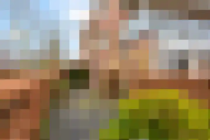 Wethouder Tomsonbos 6 Heiloo thumbnail 29