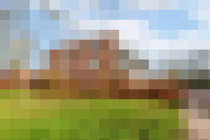 Wethouder Tomsonbos 6 Heiloo thumbnail 37
