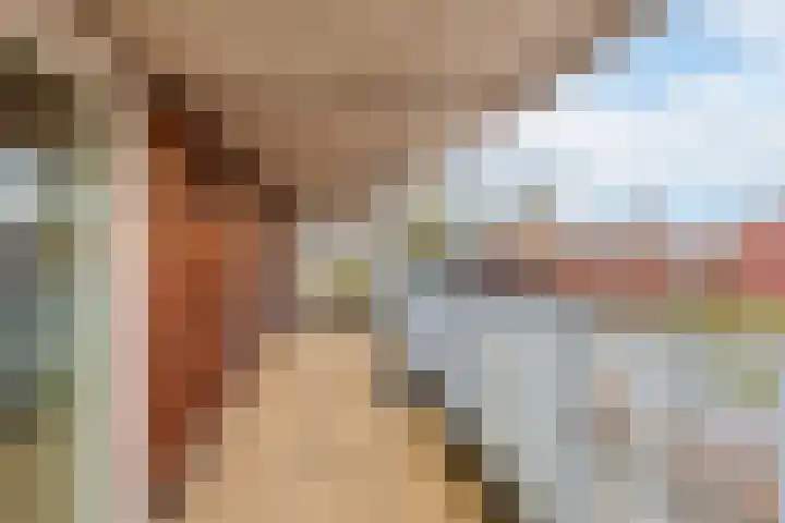 Wethouder Tomsonbos 6 Heiloo thumbnail 4