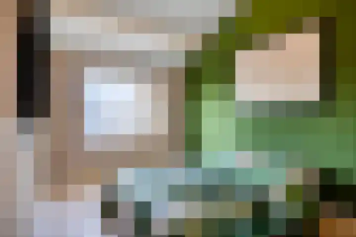 Wethouder van Eschstraat 147 Oss thumbnail 20