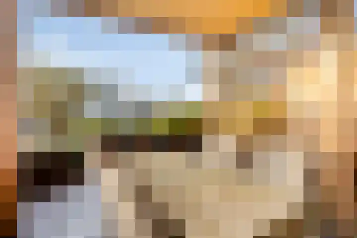 Wethouder van Eschstraat 147 Oss thumbnail 4