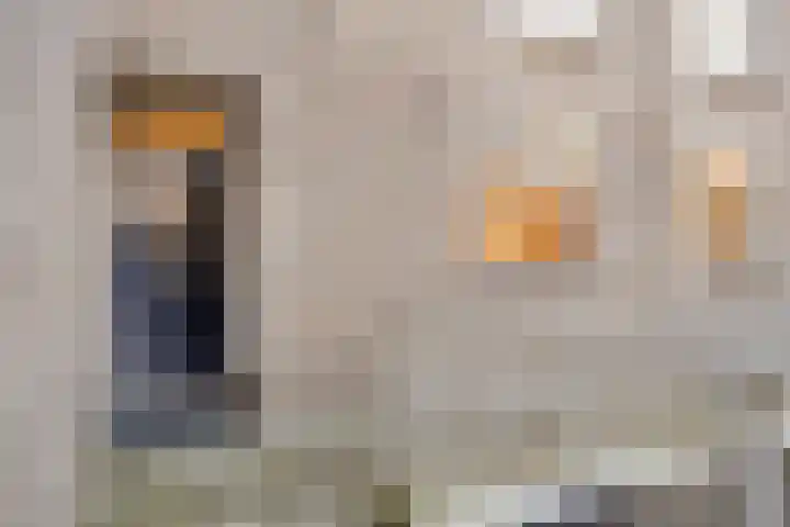 Wethouder van Eschstraat 147 Oss thumbnail 6