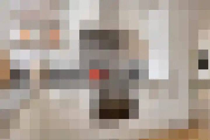 Wetstok 20 Best thumbnail 11