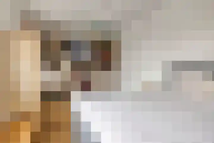 Wetstok 20 Best thumbnail 16