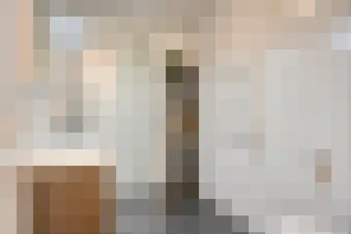Wetstok 20 Best thumbnail 17