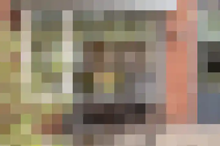 Wetstok 20 Best thumbnail 31