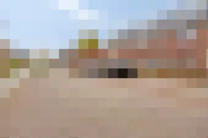 Wetstok 20 Best thumbnail 33