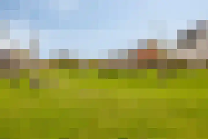 Wetstok 20 Best thumbnail 34
