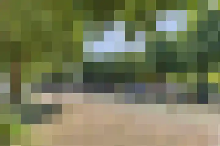 Wetstok 20 Best thumbnail 38
