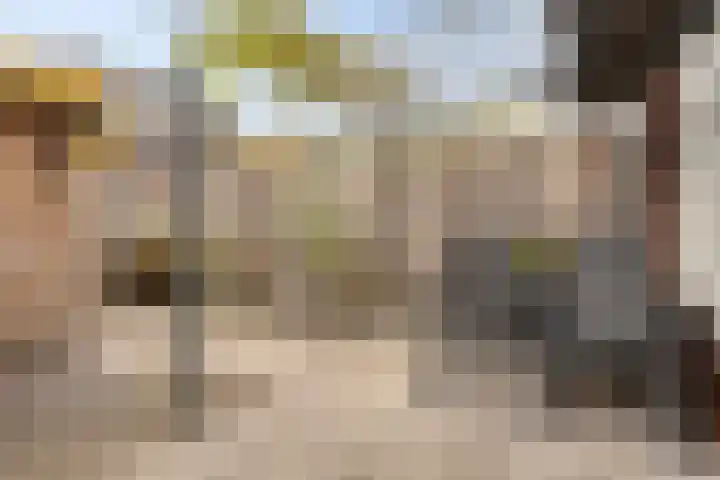 Wetstok 20 Best thumbnail 5
