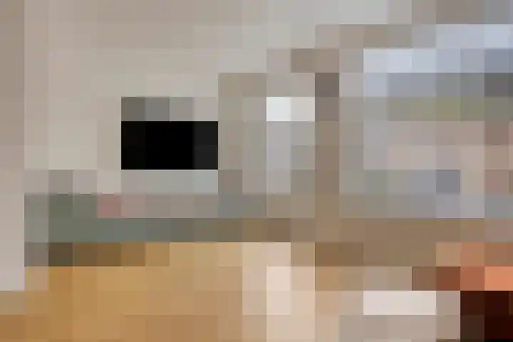 Wetstok 20 Best thumbnail 8