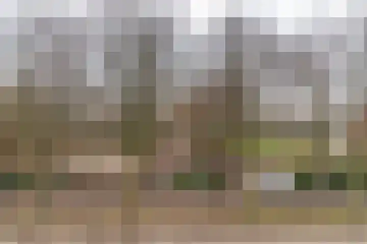Wetstrikkel 30 Uden thumbnail 46