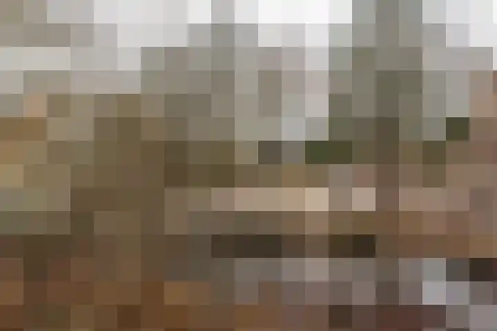 Wetstrikkel 30 Uden thumbnail 49