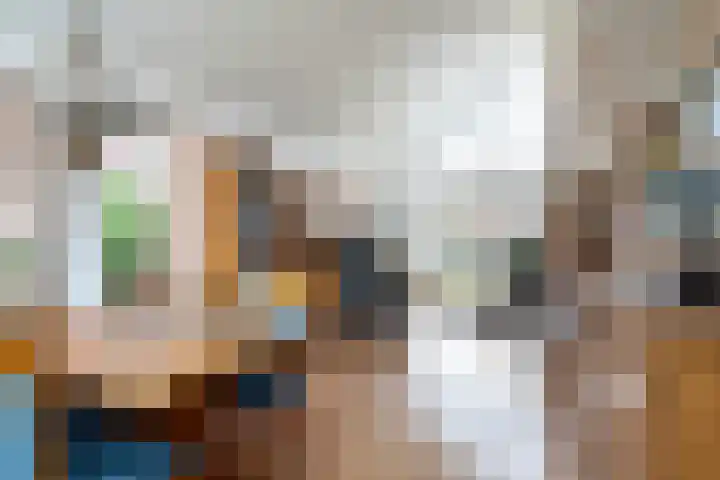 Wetterbies 15 Koudum thumbnail 13