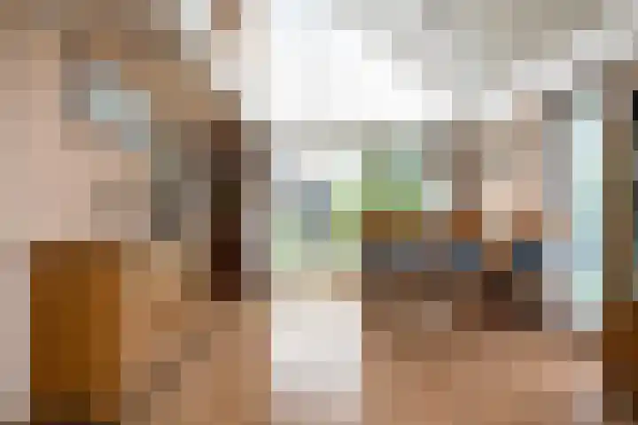 Wetterbies 15 Koudum thumbnail 16