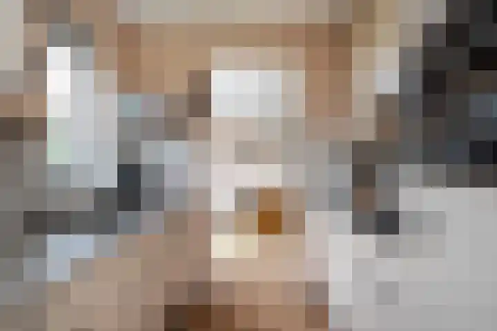 Wetterbies 15 Koudum thumbnail 18