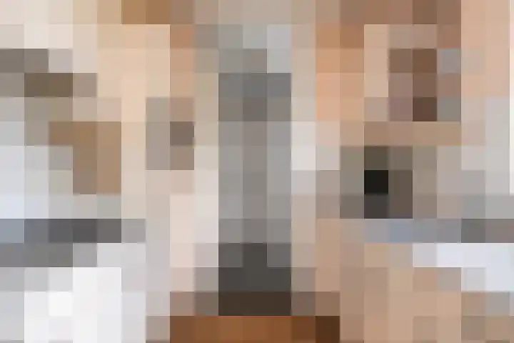 Wetterbies 15 Koudum thumbnail 19