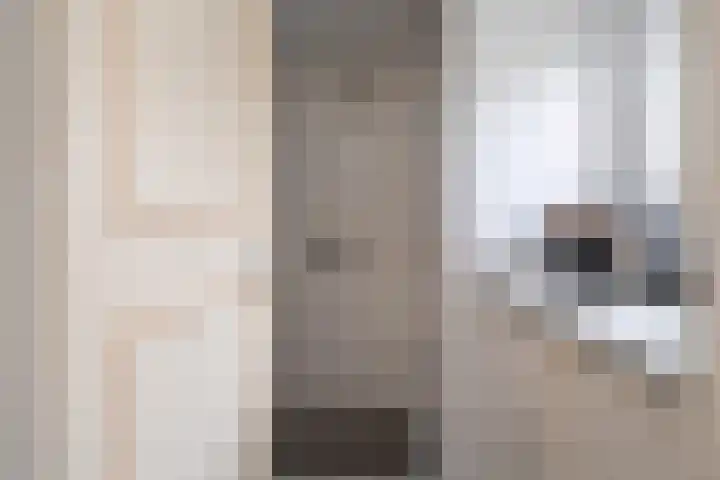 Wetterbies 15 Koudum thumbnail 21