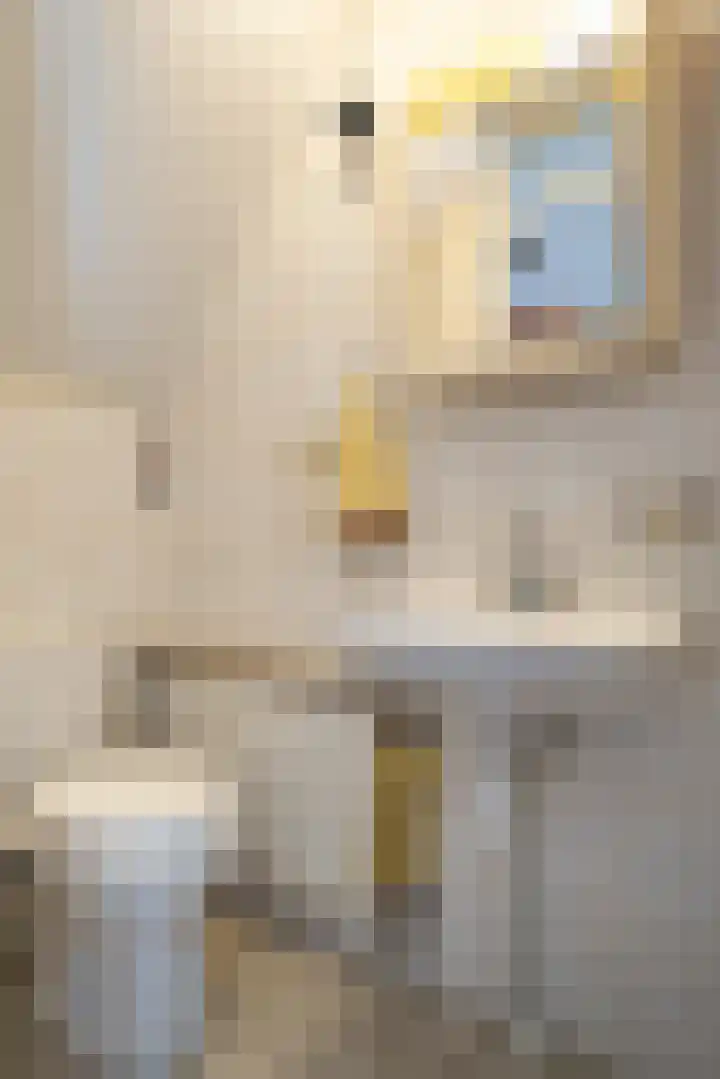 Wetterbies 15 Koudum thumbnail 24