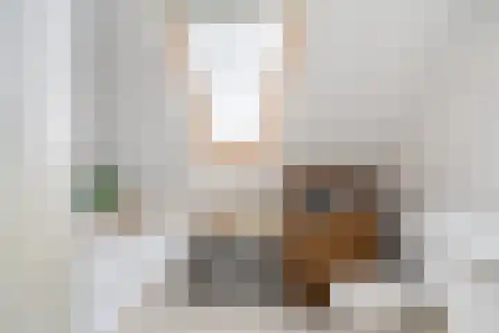 Wetterbies 15 Koudum thumbnail 38