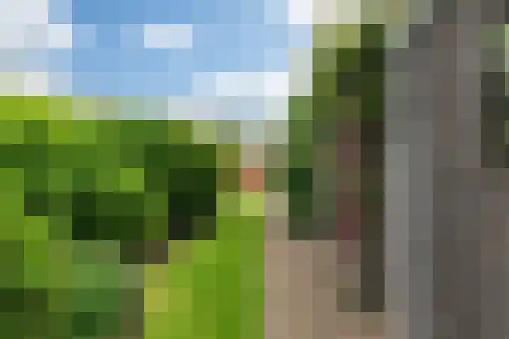 Wetterbies 15 Koudum thumbnail 40