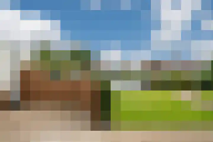 Wetterbies 15 Koudum thumbnail 41