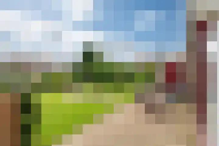 Wetterbies 15 Koudum thumbnail 42